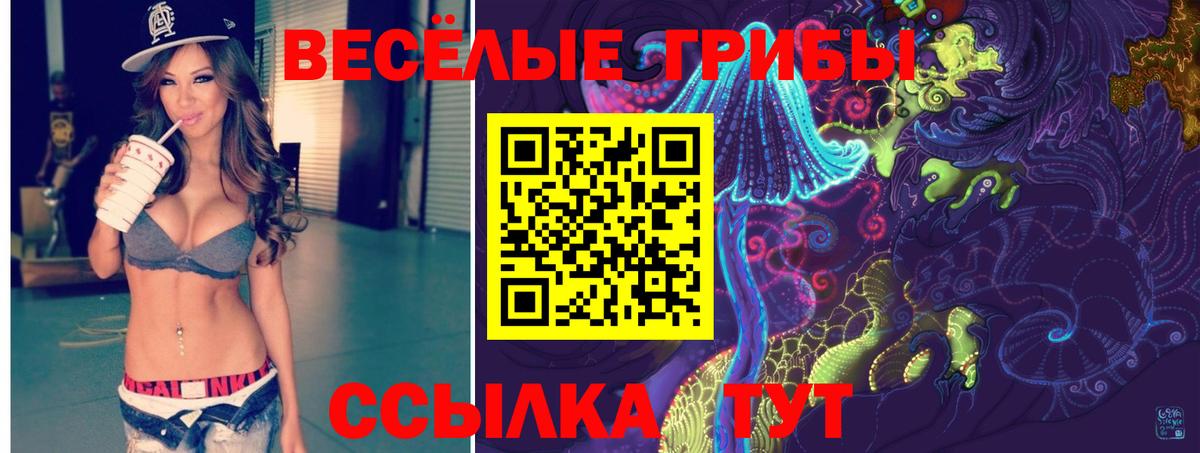 Светлоград  Галлюциногенные грибы Magic Shrooms  Вход с VPN 