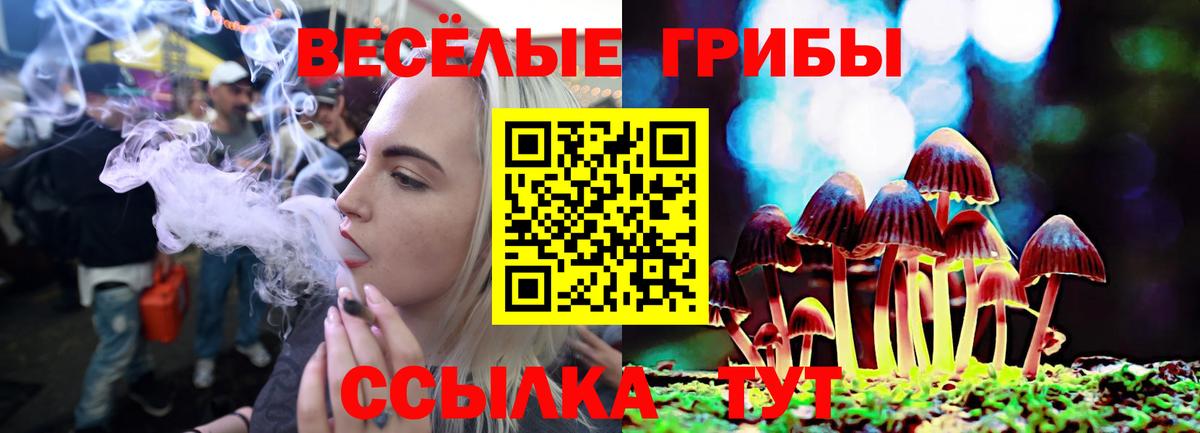 Псилоцибиновые грибы мухоморы Светлоград